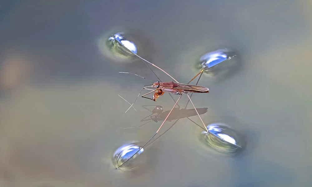 6 Moves That Decide How Far Water Spreads Indoors